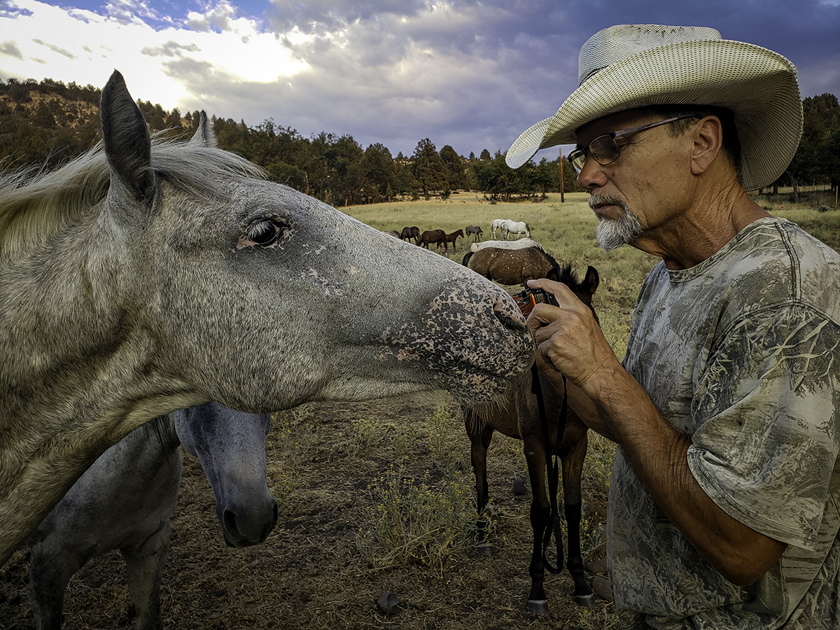 Could Wild Horses Help Fight Wildfires?